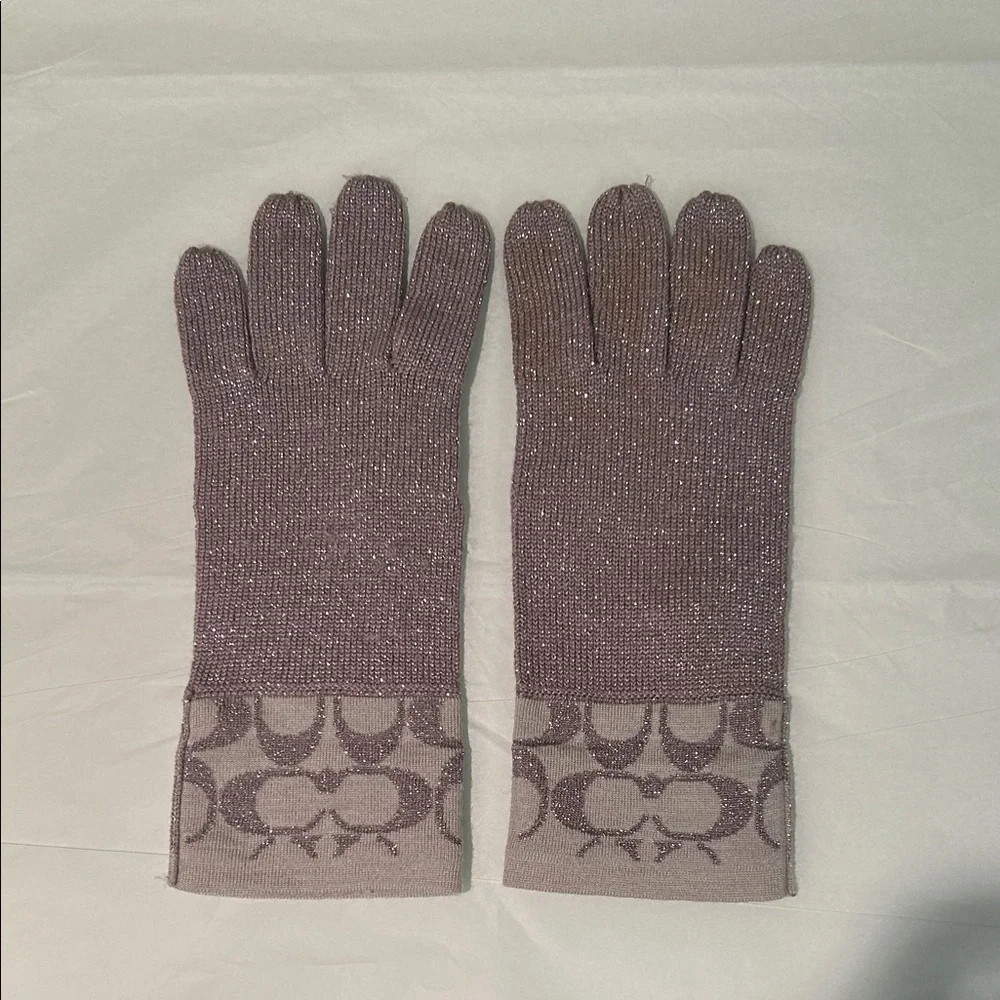 Coach Signature C Metallic Taupe/Silver Gloves